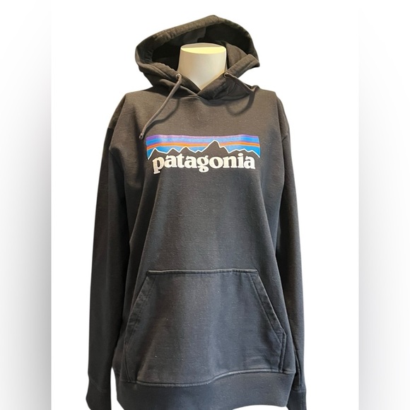 Patagonia Other - Patagonia Black Hoodie with Multicolor Logo